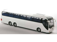 LION S COACH