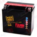 FIAMM 7904489