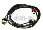 ASAM 17028
