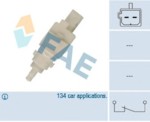 FAE 24411