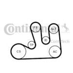 CONTITECH 5PK1750K1