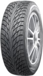Nokian Nokian_Hakkapeliitta R2_195/65R15_95R, TL (XL)