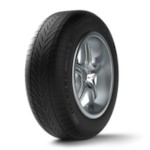 BFGoodrich 205/55R16 94H BF G-F W