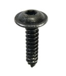WRT 93164M Саморез 4.8x22mm под TORX цвет черный
