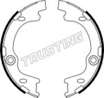TRUSTING 046.221